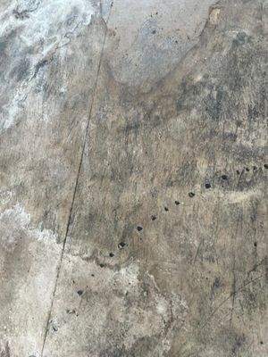 WhatsApp Image 2026-03-15 at 12.30.22.jpeg