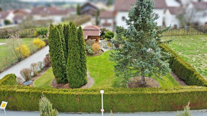 Grundstücksbilder (2).JPG