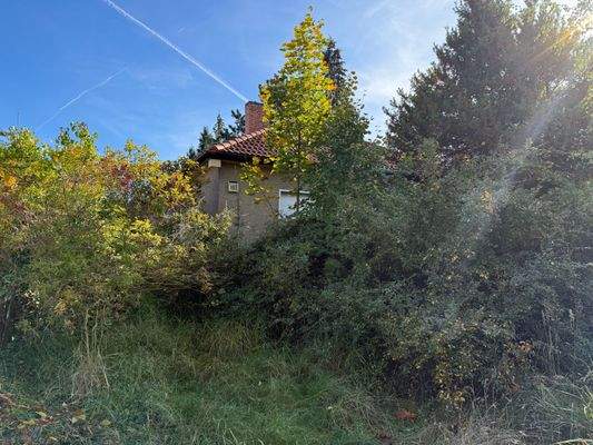 Vorderansicht aktuell