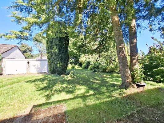 Blick in den Garten Bild 1