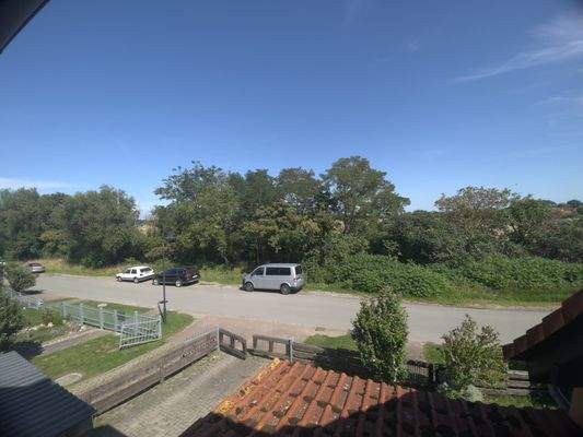 Aussicht zur Straße