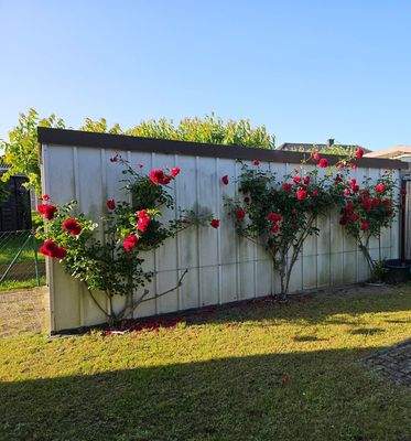 Garage, Seitenansicht.jpg