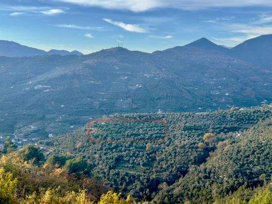 DA1013_09 TERRA ITALIA IMMOBILIEN_REAL ESTATE_FOR 