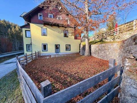 Altaussee Wohnungen, Altaussee Wohnung kaufen