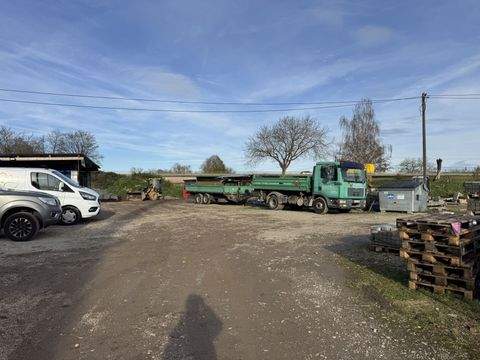 Riegel am Kaiserstuhl Halle, Riegel am Kaiserstuhl Hallenfläche