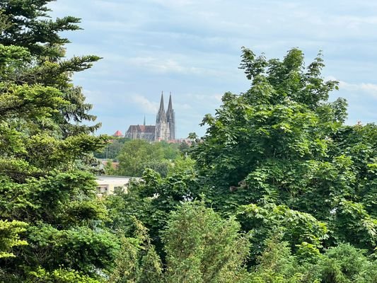 Domblick v. d. Terrasse EG