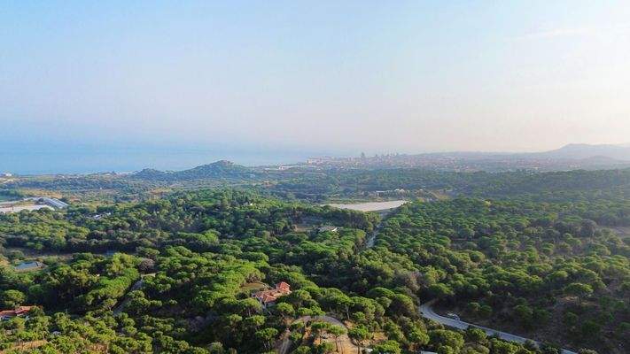 terreny llavaneres (17)