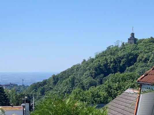 Ausblick vom Galeriezimmer