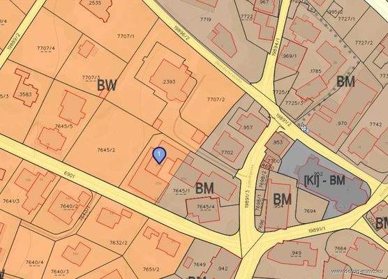 Lageplan / Widmungsplan