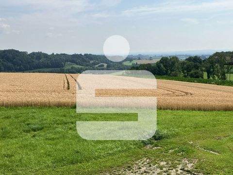 Malching Bauernhöfe, Landwirtschaft, Malching Forstwirtschaft