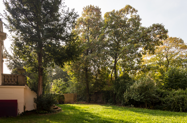 Bildschirmfoto 2025-12-18 um 09.19.39.png