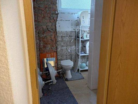 EG WC teilweise zurückgebaut