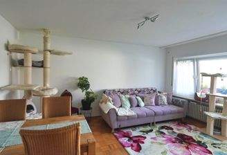 Viel Platz im Wohn-Ess-Zimmer