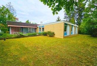 20250521_134109 - bearbeitet