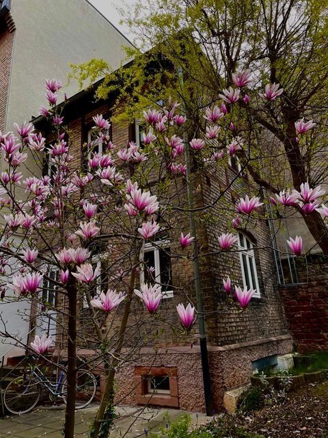 Heidelberg Wohnungen, Heidelberg Wohnung mieten