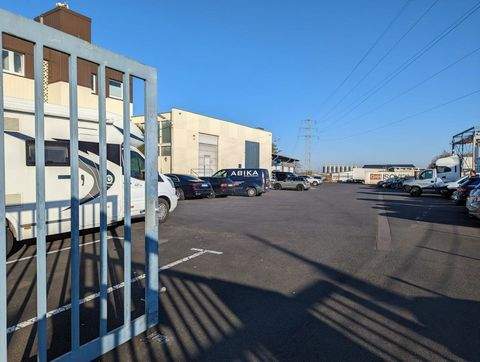 Wesseling Halle, Wesseling Hallenfläche