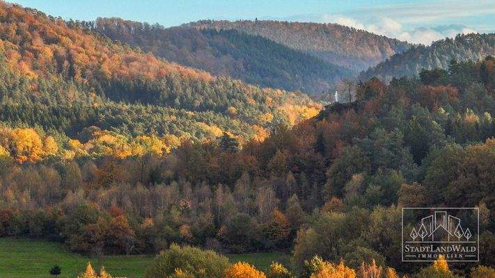 Blick zur heiligen Madonna