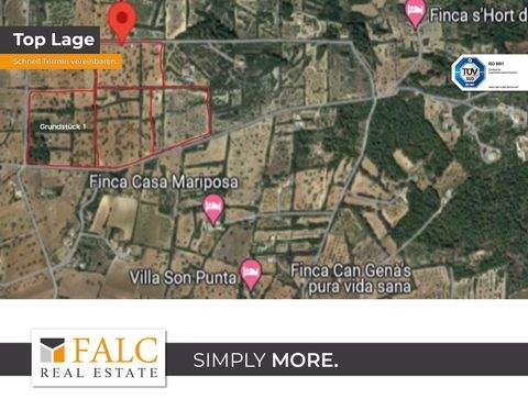 Son Proenç Grundstücke, Son Proenç Grundstück kaufen