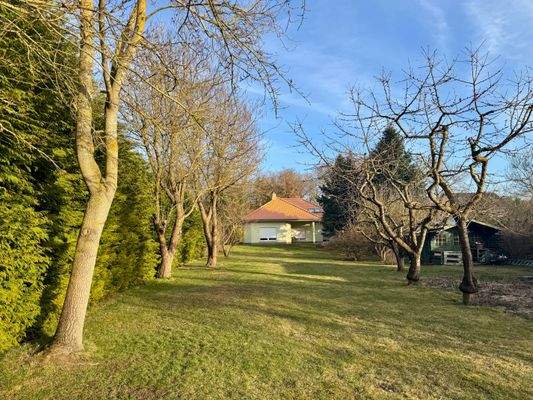 Blick von der Stepenitz über das Grundstück