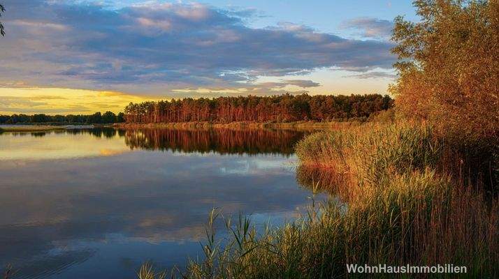 Wald, Wasser, Natur pur