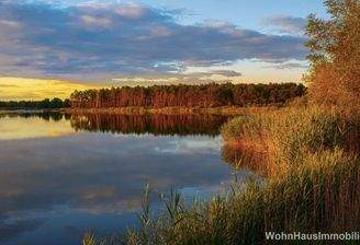 Wald, Wasser, Natur pur