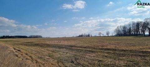 Ctibor Bauernhöfe, Landwirtschaft, Ctibor Forstwirtschaft