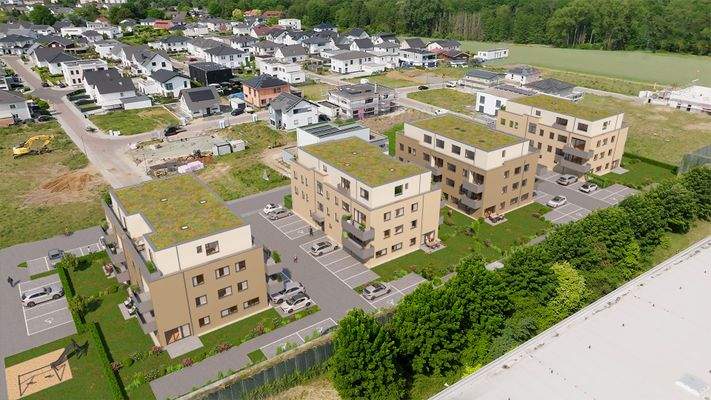 Drohnenansicht_Visualisiert