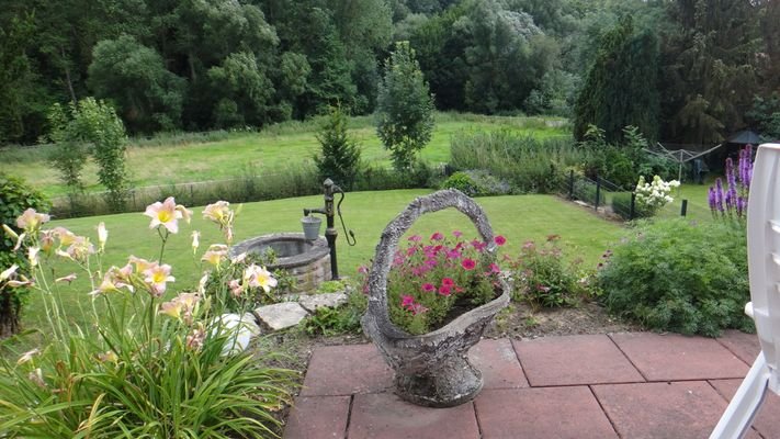 A Terrasse Blick in den Wald