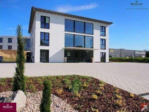 Schallstadt Büros, Büroräume, Büroflächen 