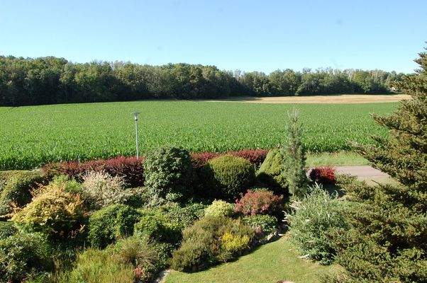 vom Balkon Richtung Süden.JPG