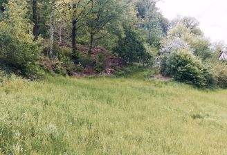 Blick ins Grundstück