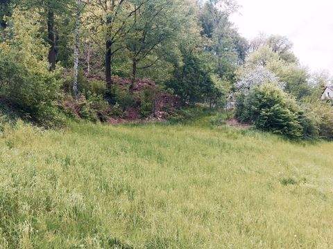 Tharandt Grundstücke, Tharandt Grundstück kaufen