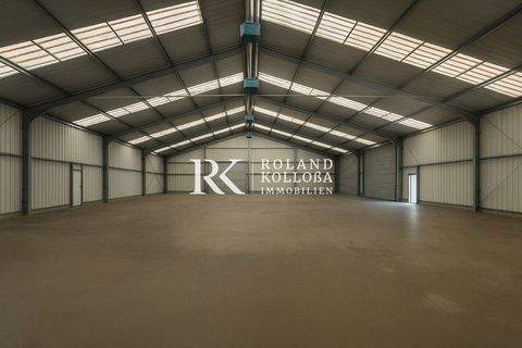 Hamburg Halle, Hamburg Hallenfläche