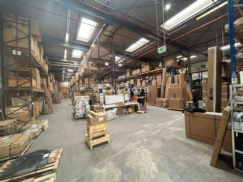 Wentorf Halle, Wentorf Hallenfläche