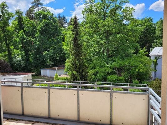 Balkon mit Blick in den Bannwald.jpg