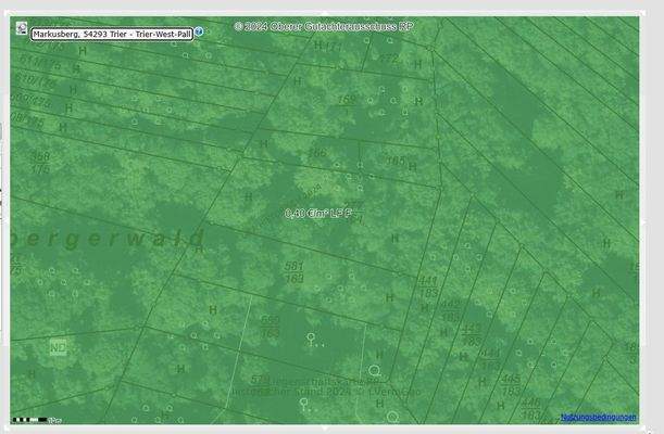 Screenshot 2025-11-19 124009