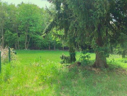 Hinterer Garten 1.jpeg