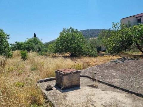 Marina Bauernhöfe, Landwirtschaft, Marina Forstwirtschaft