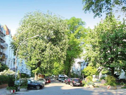 Blick in die Straße