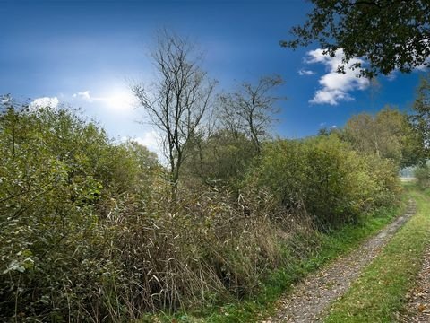 Dörverden/Hülsen Bauernhöfe, Landwirtschaft, Dörverden/Hülsen Forstwirtschaft