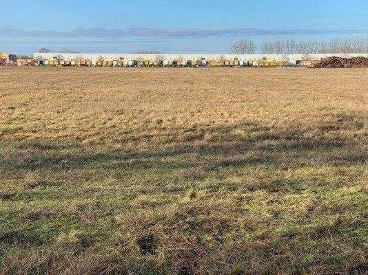 Blick auf das Grundstück von der B273