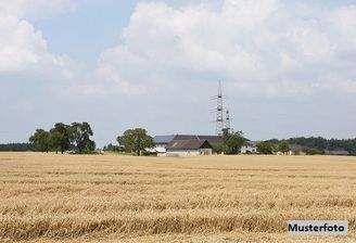Keine Originalbilder