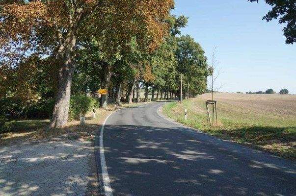 Dorfausfahrt Grundstück rechts