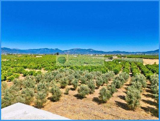 a30cc4e9ac4e4e06ab07d6d3429958bd-original