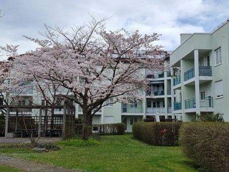 Unterföhring Wohnungen, Unterföhring Wohnung kaufen