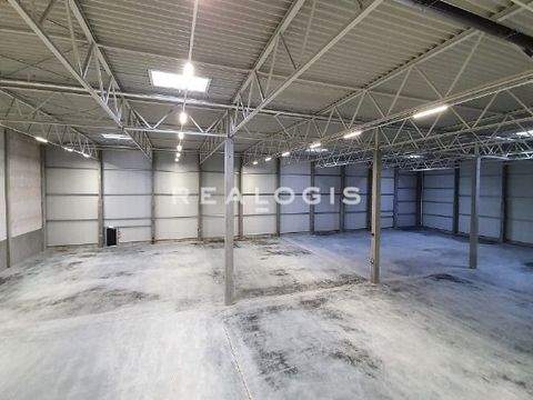 Hallbergmoos Halle, Hallbergmoos Hallenfläche