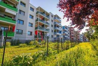 Ansicht hinten, Mietergärten