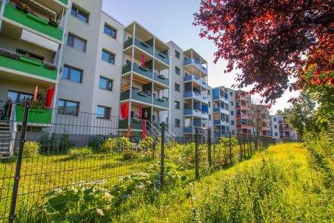 Halle (Saale) Wohnungen, Halle (Saale) Wohnung mieten