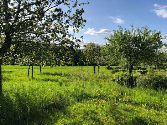 Ausblick vom Balkon im Sommer