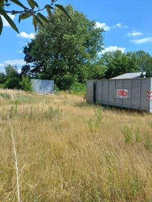 Foto 3 Berkenbrück 384